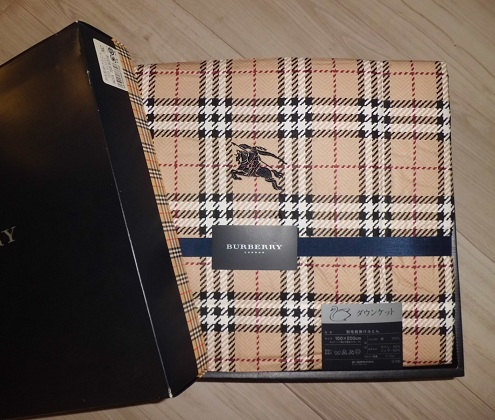 BURBERRY ダウンケット - バーバリー 羽毛掛ふとん 羽毛布団 0 肌掛