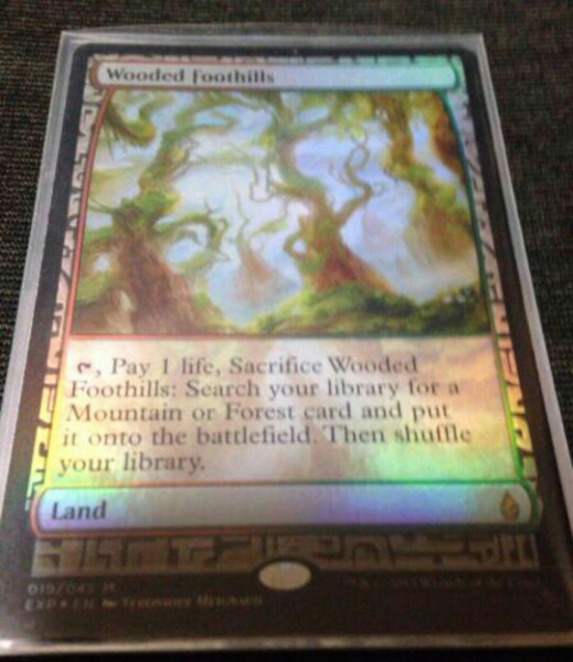 MTG 樹木茂る山麓 4枚セット KTK 日本語版 樹木茂る山麓 (Wooded