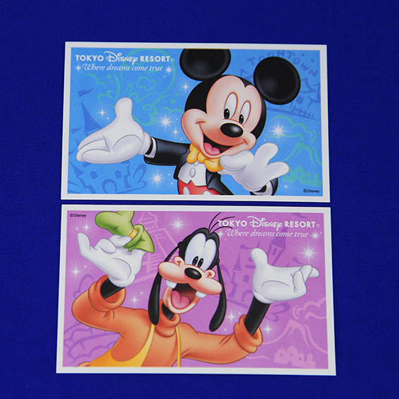 ディズニーパスポート　ペア2枚　混雑時ＯＫ！　送料込み！①_1