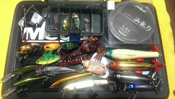 爆買い，人気SALE ブランドルアーセットVERSUSルアーBOX付きメガバス(セット)｜売買されたオークション情報、yahooの商品情報をアーカイブ公開 - オークファン 淡水