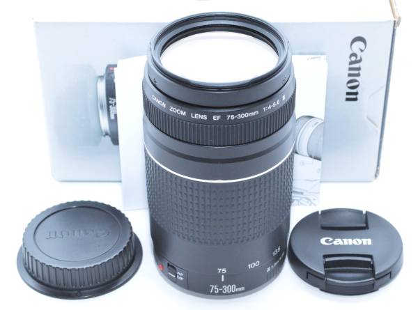 ☆極美品☆ CANON キャノン EF 75-300mm f4-5.6 III