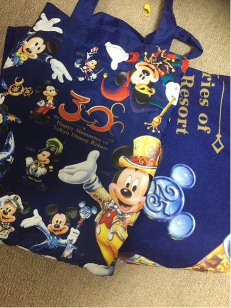 ディズニー TDL 30周年 ミッキー ブランケット