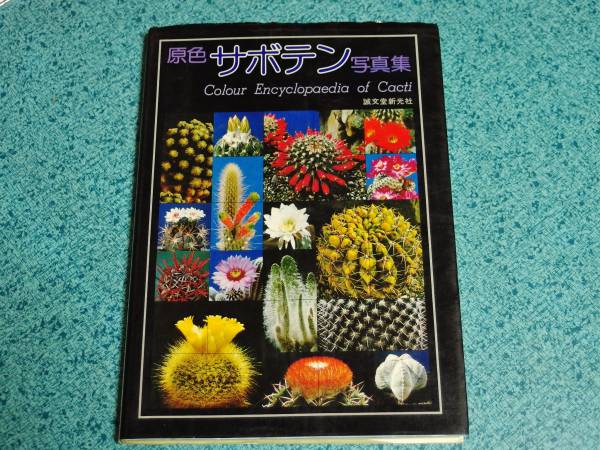 ⁄ サボテン 12ヵ月 奥一誠文堂新光社 頭突書店 | 古本、中古
