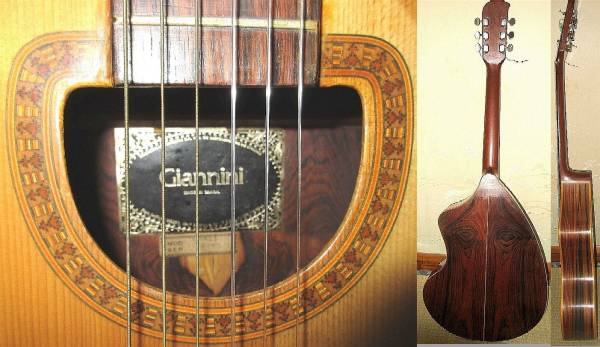 Giannini Craviola 1975年製 ハカランダ多数 ビンテージ　HC付