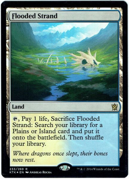 MTG 溢れかえる岸辺 Flooded Strand FOIL MTG 溢れかえる岸辺 Flooded
