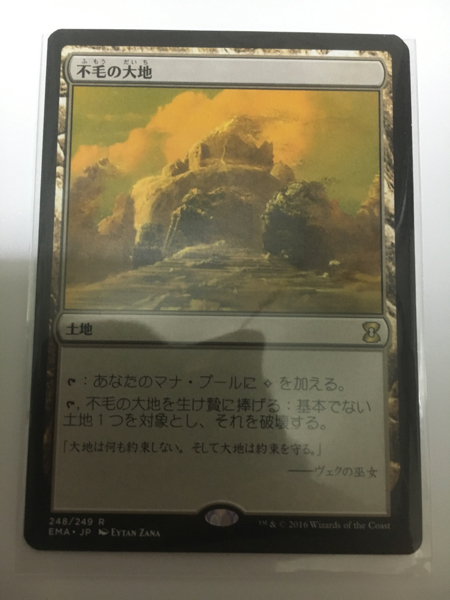 日本最大級 土地R 不毛の大地 MTG 不毛の大地⁄Wasteland》[EMA] MTG