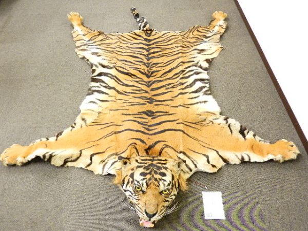 敷物 虎 タイガー トラ 剥製 - ラグマット ラグ 虎好き必見 Yahoo