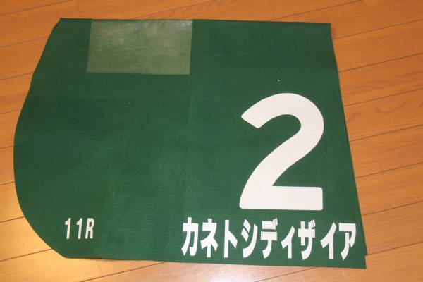 激レア・実使用ゼッケン　カネトシディザイア_1