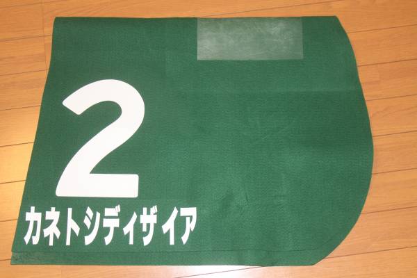 激レア・実使用ゼッケン　カネトシディザイア_2