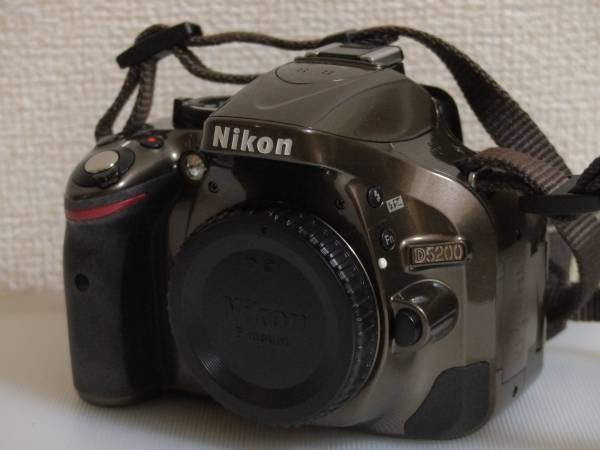 NIKON D5100 ダブルズームキット おまけ付き ニコン 一眼 【公式通販】