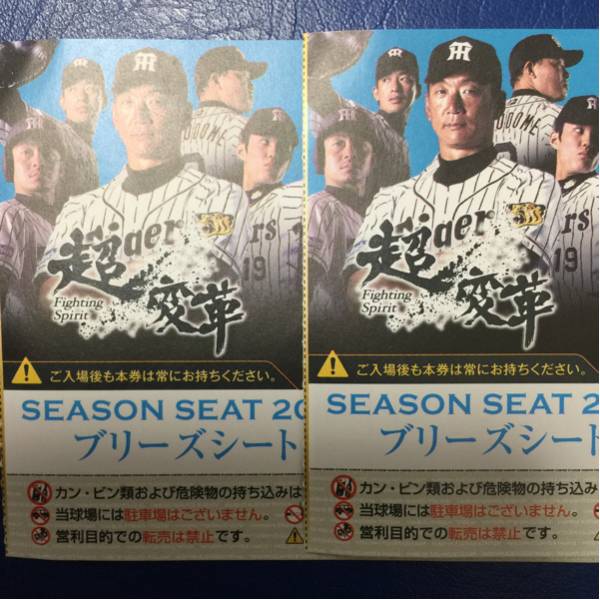 阪神 vs ロッテ 2025年6月18日 チケット 2025セ・パ交流戦阪神