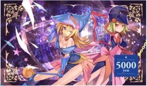 C90★天秤を揺らす女★FGO★玉藻★スリーブ プレイマットセット