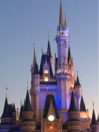 ディズニーシー カウントダウンパス ペア