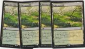 即決】MTG KTK 吹きさらしの荒野 日本語版 4枚セット
