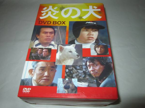 炎の犬 DVD-BOX 三ツ矢歌子 松田洋治 平泉成 炎犬DVD-BOX三ツ矢歌子