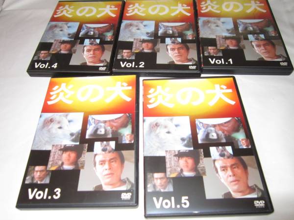 炎の犬 DVD-BOX 三ツ矢歌子 松田洋治 平泉成 炎犬DVD-BOX三ツ矢歌子
