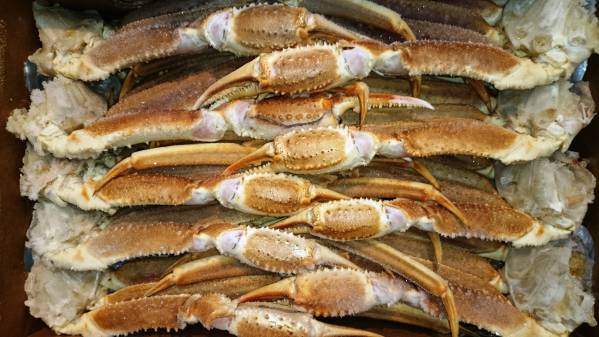 北海道発　ロシア産 生冷凍 本ズワイがに足5kg 特大5L R6