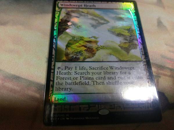 □MTG BFZ 霧深い雨林/Misty Rainforest 英 Foil プレミアム
