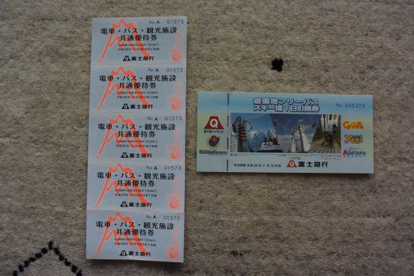 富士急ハイランドフリーパスペア 11月30日まで（即決送料無料）_1