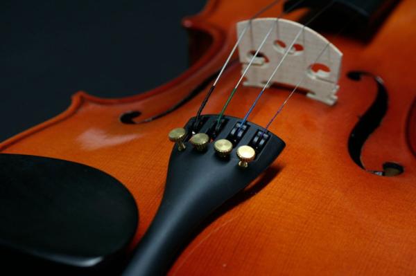 ステンター バイオリン4/4サイズ No.Student ST Violin 4/4 ステンター