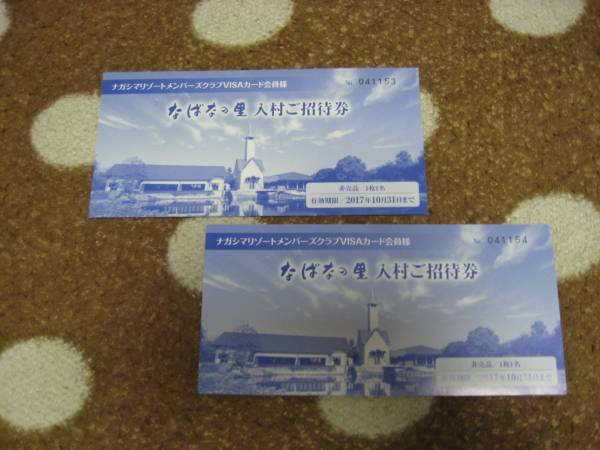 ★なばなの里 イルミネーション 入村ご招待券２枚 ペア★_1