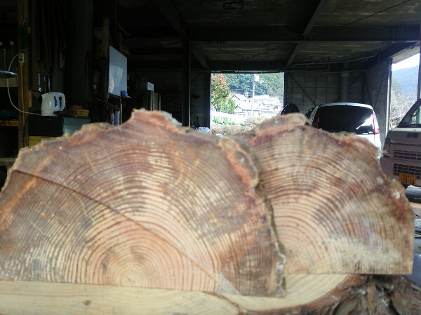 s524845849.1