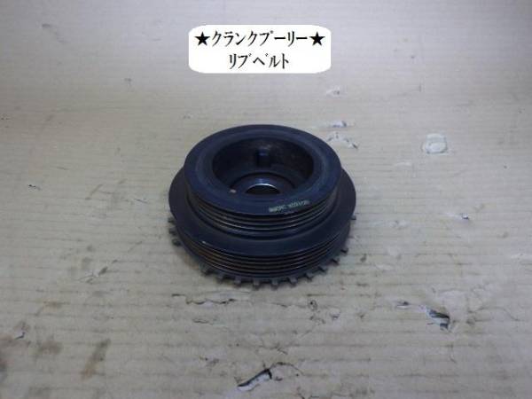 u135034967.1