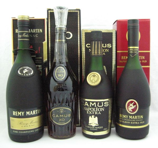 REMY MARTIN XO & CAMUS Napoleon セット 【公式通販】