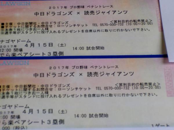 u148729921.1