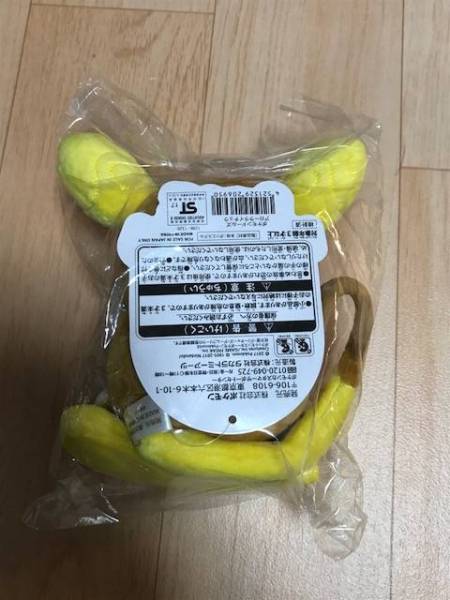 ポケモンドールズ　アローラライチュウ　ぬいぐるみ　ポケセン　ポケモンセンター　ポケモン_3