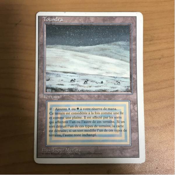 mtg マジックザギャザリング Magic the Gathering Tundra フランス語