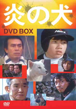 ◇開封DVD☆『炎の犬 BOX 5枚組』松田洋治 高橋悦史 三ツ矢歌子 あおい