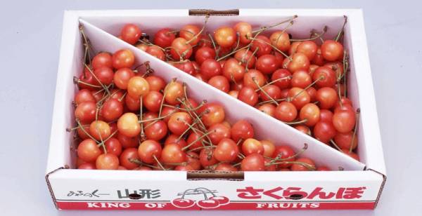 山形産さくらんぼ　ご家庭用　1ｋｇ　バラ詰_1