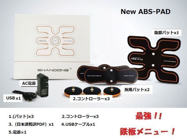 純正品 ABS 鉄板メニュー進化版！AbsFit + BodyFit 3点セット EMS