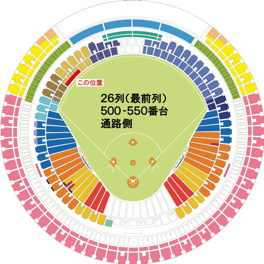 ★最前列通路側★8/13（日）中日vsヤクルト【レフト側外野応援】★ペア★