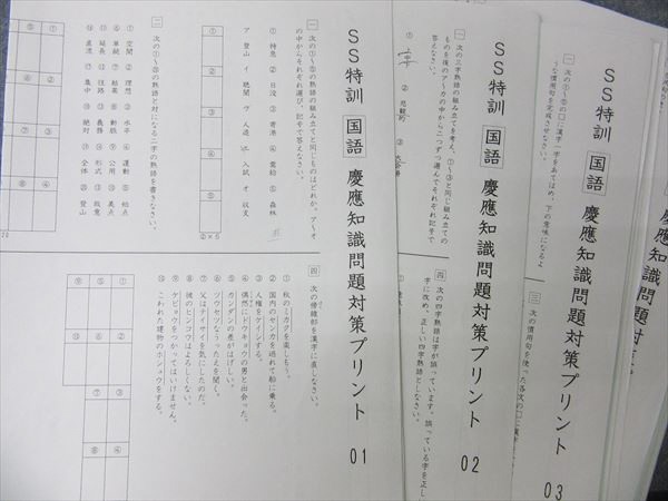 冬期講習 正月特訓 サピックス 6年 2021年度 一式セット 国語算数理科