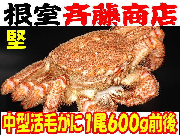 f204432668.1