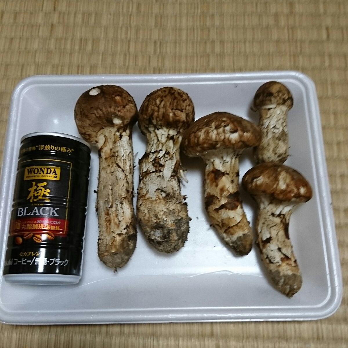 2025松茸の最新情報！岩手県岩泉町の秋の味覚 岩手県産松茸 マツタケ4 