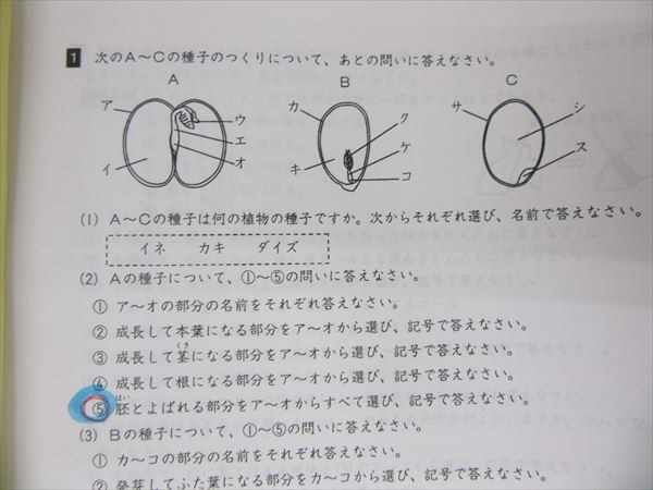 JI15-051 浜学園 神戸女学院中対象 L神女コーステキスト ラスト100①