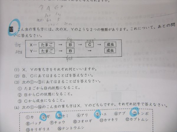 JI15-051 浜学園 神戸女学院中対象 L神女コーステキスト ラスト100①