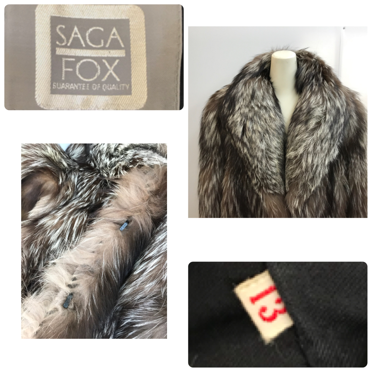 saga fox 中古の通販 中古5，555円スタート◇SAGA