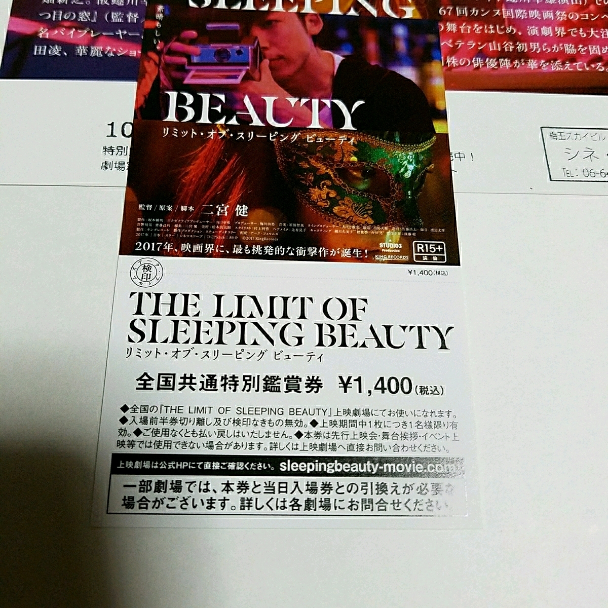 高橋一生 ★映画　リミット オブ スリーピング ビューティー★全国共通特別鑑賞券★前売り券☆ポスカとフライヤー付き☆桜井ユキ_2