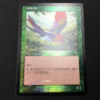 MTG 7ED 第7版 極楽鳥/Birds of Paradise 日本語 Foil