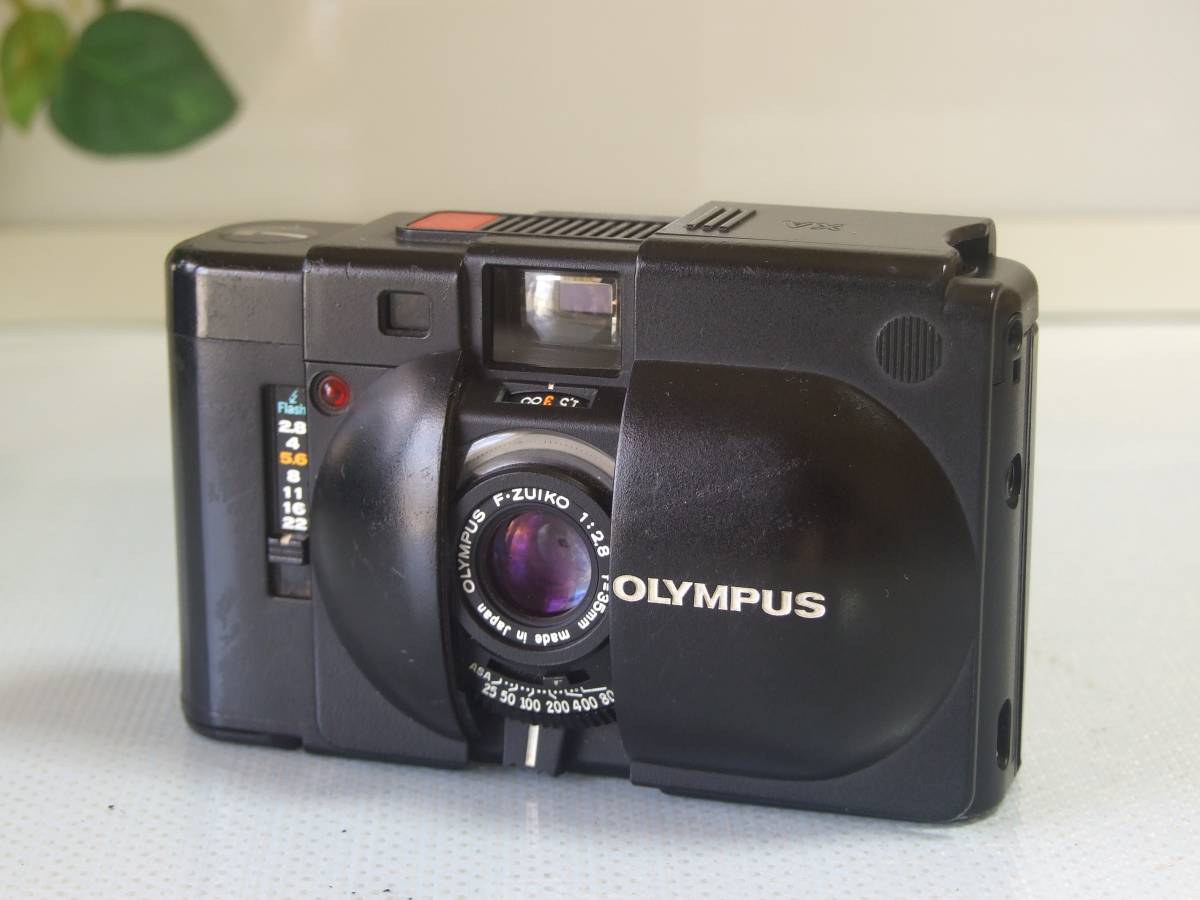 n237112093.1