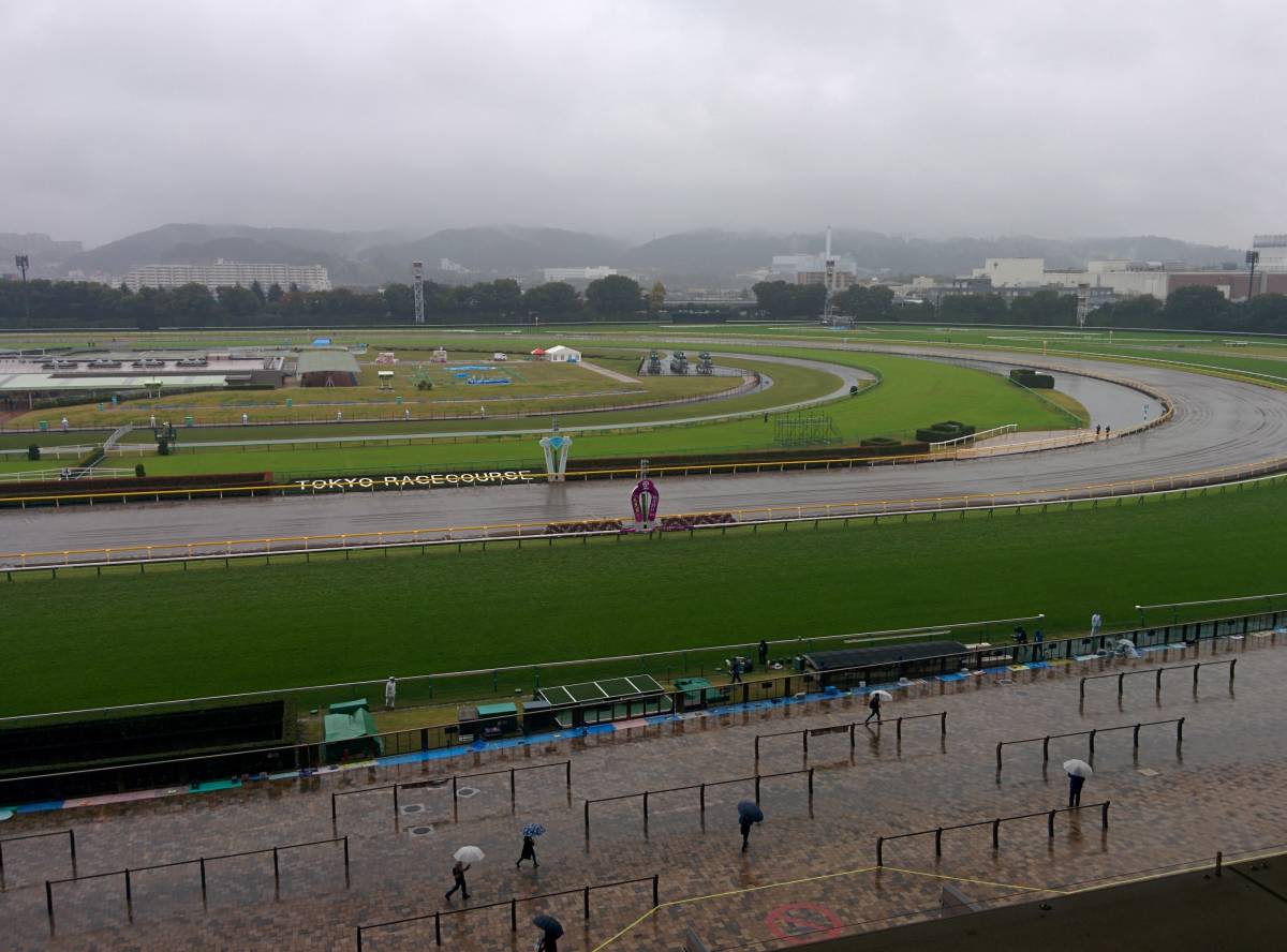 第37回ジャパンカップ　6階A指定席ペア(東京競馬場)　JRAカード(男性名義) (指定席料金込み)