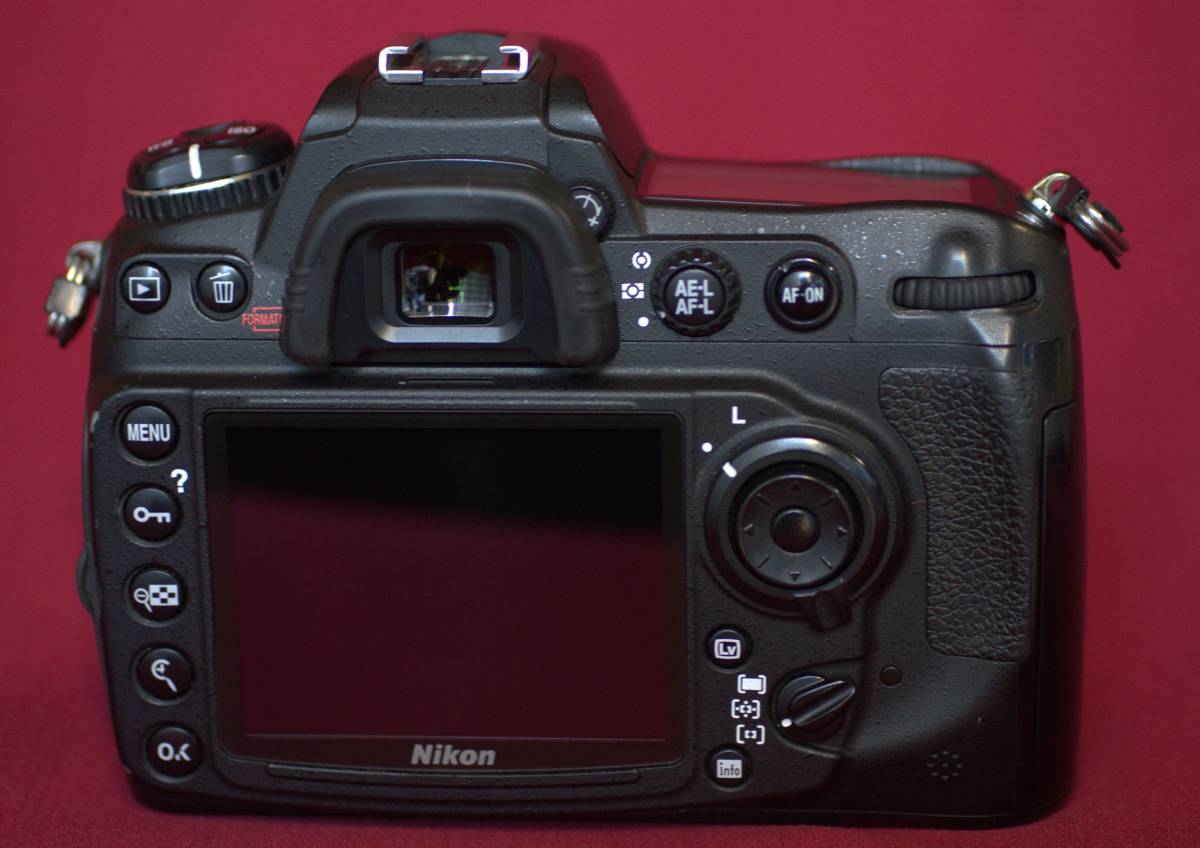 ■送料無料■ NIKON ニコン 一眼レフカメラ D300S 本体 ボディー【おまけ】バッテリ3個 コンパクトフラッシュメモリ4GB＜値下げ交渉あり＞