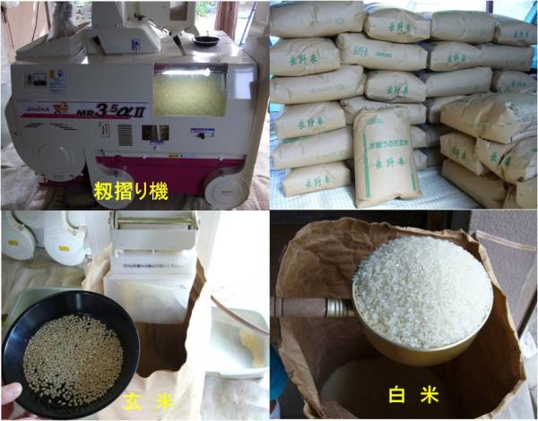 公式通販 新米 コシヒカリ 平成29年度 玄米30キロ 30kg 玄米 (新潟市西