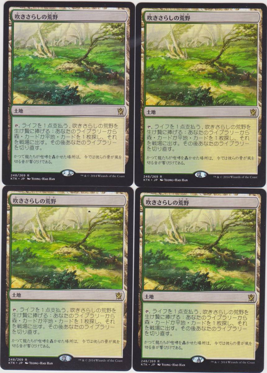 MTG 吹きさらしの荒野 Foil 4枚セット 【公式通販】