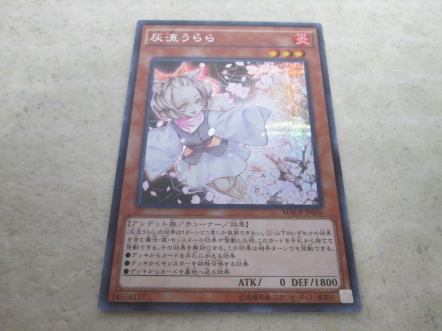 遊戯王 灰流うらら アジア版シークレット アジアシク シク 遊戯王OCG