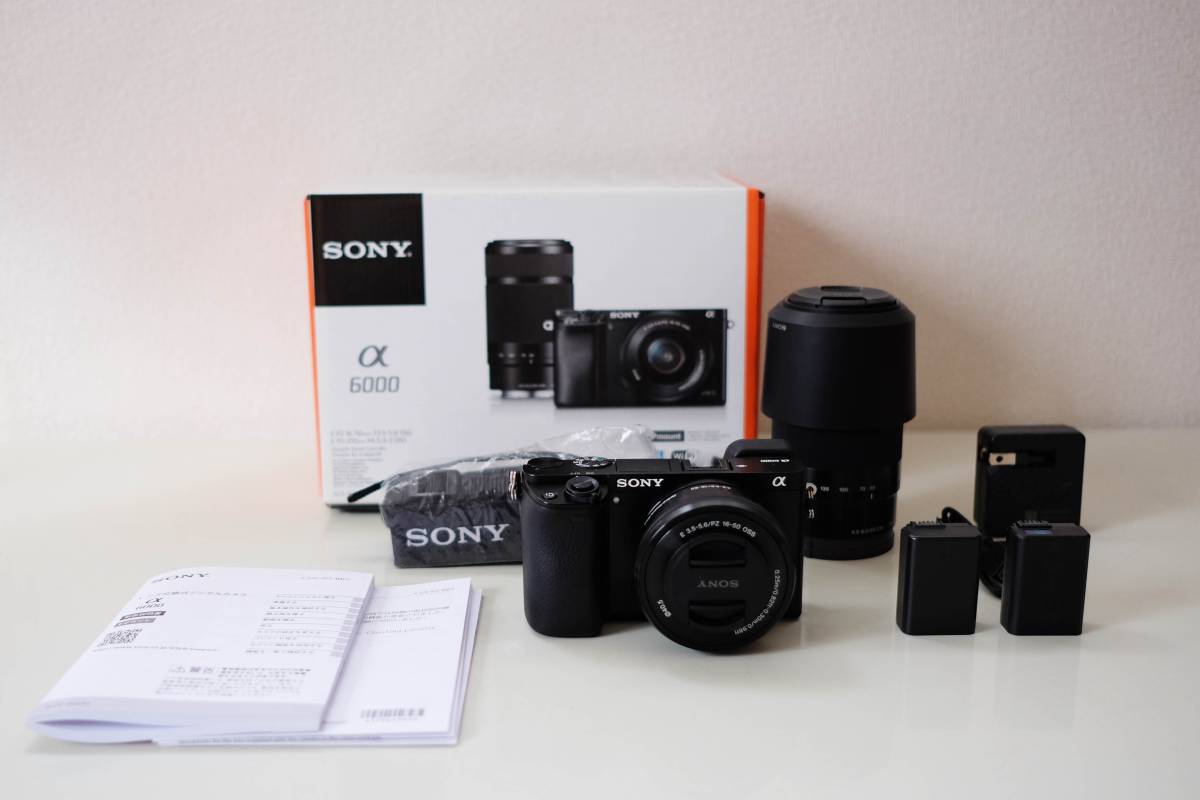 極美品 ◇極上美品◇SONY ソニー α6000 ILCE-6000Y ダブルズームレンズ